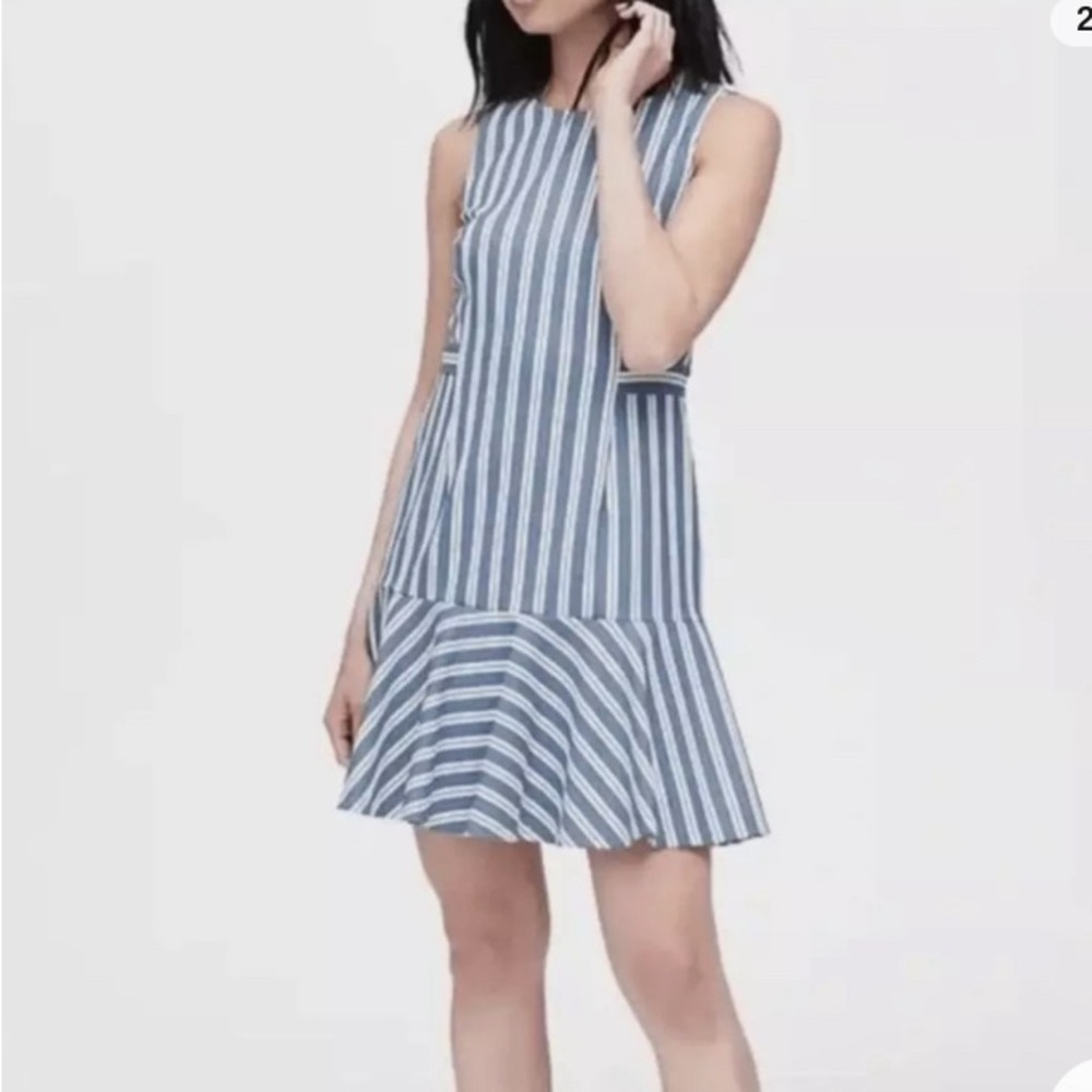 Banana Republic Drop Waist Dress